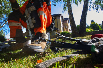 Fototapeta premium Woodcutter's Tool, Chainsaw, Wood Surgeon