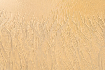 Sand texture Sand beach as a background