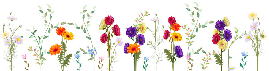 Horizontal autumn's border: colorful bouquets of aster, gerbera, marigold, daisy flowers and twigs on white background. Digital draw, realistic illustration in watercolor style, panoramic view, vector