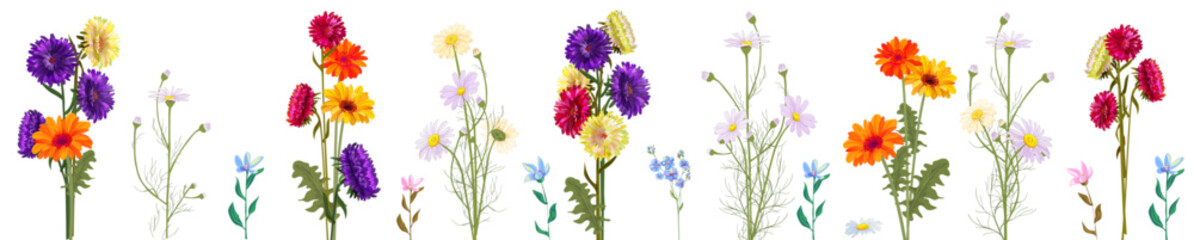 Horizontal autumn's border: colorful bouquets of aster, gerbera, marigold, daisy flowers on white background. Digital draw, realistic illustration in watercolor style, panoramic view, vector