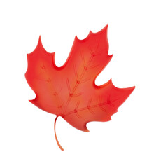 Autumn leave clip art 3d thanksgiving and harvest day on transparent background. 