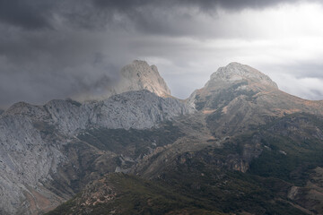 Montaña en la niebla