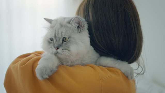 Happy asian woman hugging her cute grey persian cat with love at home, Adorable domestic pet concept, Friendship between human and their pet	