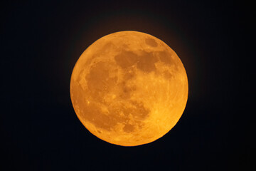 Moon looks orange and you can see the craters. Photography taken with a telescope. - obrazy, fototapety, plakaty