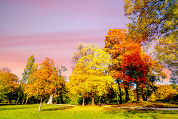 Englischer Garten, München, Bayern, Deutschland 