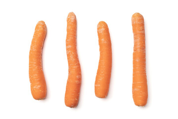 Ripe carrot on white