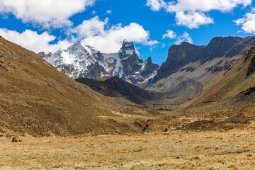 horses and pack mules going down the mountains on the way to the Viconga lagoon, Huayhash mountain...