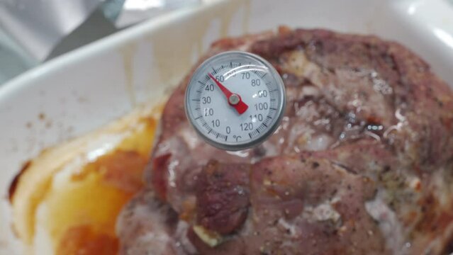 using food thermometer for grilling, cooking baked meat roasted pork in oven