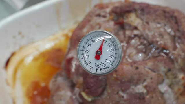 using food thermometer for grilling, cooking baked meat roasted pork in oven