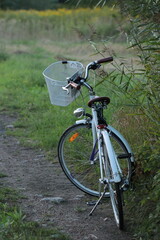 Biały rower na polnej drodze. Kontakt z naturą i tradycyjny transport. Wycieczka rowerowa