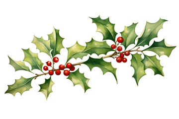 A transparent white background with an isolated watercolor holly branch clip art, perfect for Christmas and New Year decorations during the winter season.