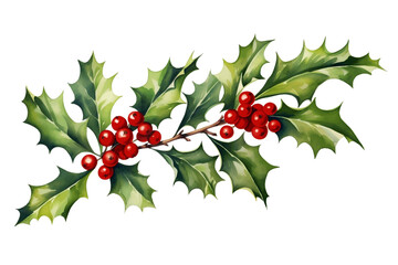 Isolated watercolor holly branch clip art on a transparent white background, suitable for Christmas and New Year's decorations in a winter season.