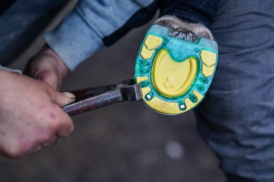 Man farrier installing plastic horseshoe to hoof. Closeup up detail to hands holding animal feet and metal tongs