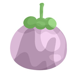 illustration of a mangosteen illustration.