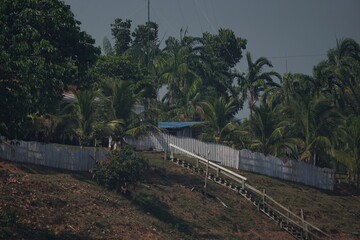bridge over the lake