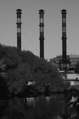 Fototapeta premium Factory pipes