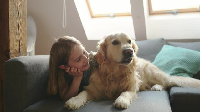 Child girl hugging golden retriever dog lying on sofa at home and smiling. Pretty preteen kid petting purebred pet doggy in loft room