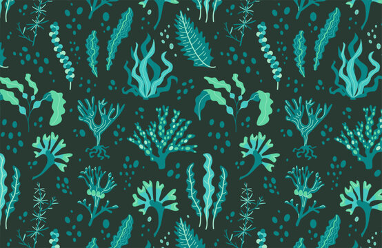 Seamless pattern of edible algae: Kelp, Spirulina, Chlorella, Bladderwrack, Hijiki, Sea lettuce, Sea Grapes, Kombu, Fukus, Wakame, Dulse. Dark blue seaweed background. Sea plants wallpaper. 