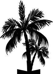 coconut tree