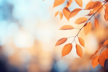 Naklejka na ściany i meble autumn leaves in the sun - generative ai