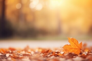 autumn leaves on the ground - generative ai