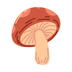 mushroom fresh icon