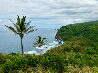 Fototapeta na wymiar panoramic view of Pololu Beach on Big Island, Hawaii