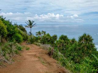 panoramic view of Pololu Valley on Big Island, Hawaii