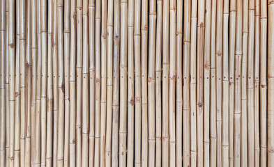 architectural bamboo wall for japanese mood decoration for interior or exterior design. old bamboo plank fence texture used as background with blank space for design.