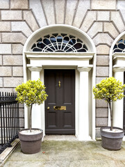A famous brown painted Georgian door in Dublin, Ireland	