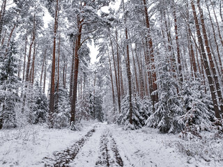 Aerial view of snowy forest and footpath in winter.