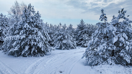 Country road and snow-covered forest in winter.