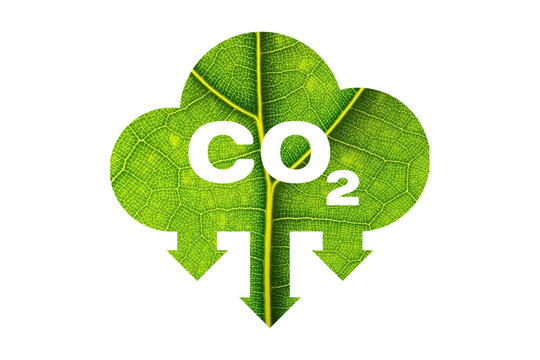 CO 2, sign made from green leaves and clouds. Isolated on white background. Emission reduction. Low level of greenhouse gases. Ecology. Background.