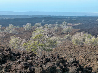 panoramic view of landscape along highway 11 on Big Island