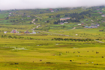 View of green valley with clouds over mountains in the background located in Bhutan.