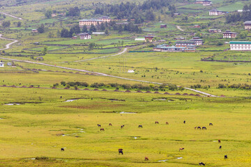 View of green valley with clouds over mountains in the background located in Bhutan.