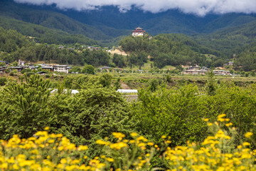 Scenic panoramic view of green fields and yellow flowers, beautiful countryside landscape in Bhutan.