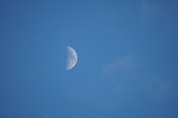 Naklejka na ściany i meble first quarter moon on the sky