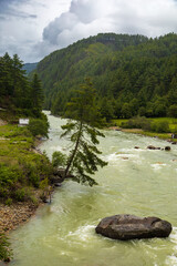 View of a river flowing in a valley surrounded by greenery with clouds over mountains in Bhutan