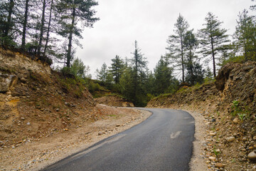 View of a winding road in a valley in Bhutan.