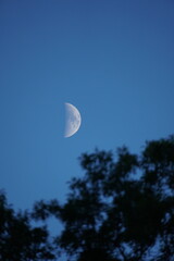 first quarter moon on the sky