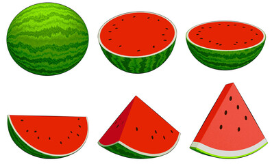 A set of illustrations of watermelons and watermelon slices cut in various proportions. The illustration style is clean, simple, and refined.