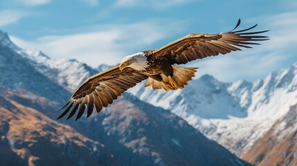 Fototapeta premium A photograph of an animal