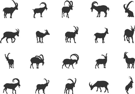 Ibex silhouette, Ibex goat silhouette, Alpine ibex silhouette, Ibex vector, Ibex Gazelle, Ibex icon set