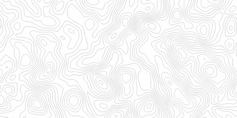 Seamless Topographic map. Geographic mountain relief. Abstract lines background. Contour maps. Vector illustration, Topo contour map on white background, Topographic contour lines.