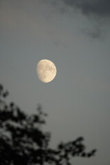 waxing gibbous moon on the sky
