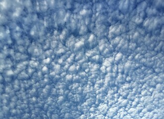 Cirrocumulus clouds in the sky - obrazy, fototapety, plakaty