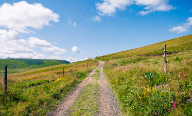 Fototapeta na wymiar Dirt road in rural meadow with blue sky and clouds- Auvergne, Cantal in France