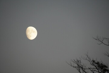 waxing gibbous moon on the sky