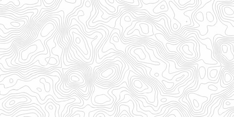 Background lines Topographic map. Geographic mountain relief. Abstract lines background. Contour maps. Vector illustration, Topo contour map on white background, Topographic contour lines.